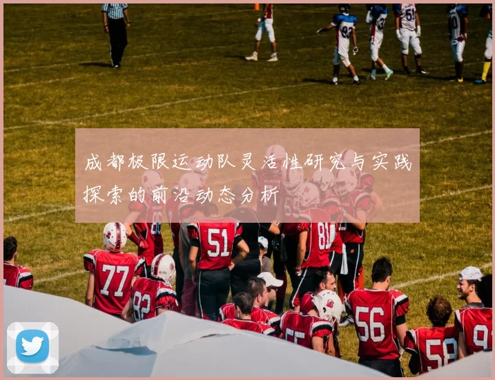 成都极限运动队灵活性研究与实践探索的前沿动态分析