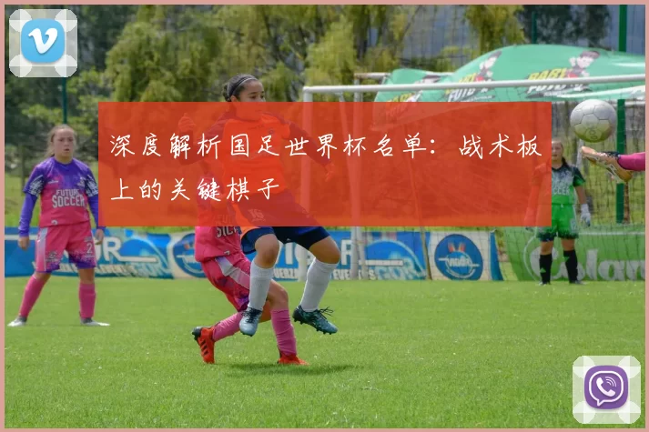 深度解析国足世界杯名单:战术板上的关键棋子