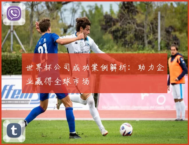 世界杯公司成功案例解析:助力企业赢得全球市场