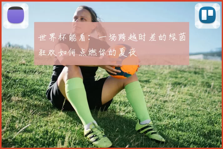 世界杯能看:一场跨越时差的绿茵狂欢如何点燃你的夏夜