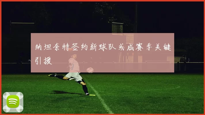 纳坦奈特签约新球队或成赛季关键引援