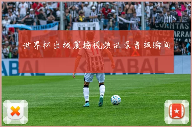 世界杯出线震撼视频记录晋级瞬间