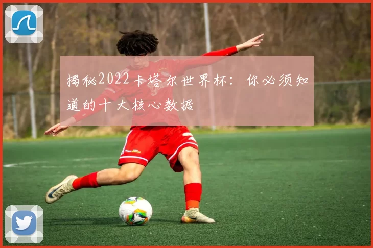揭秘2022卡塔尔世界杯:你必须知道的十大核心数据