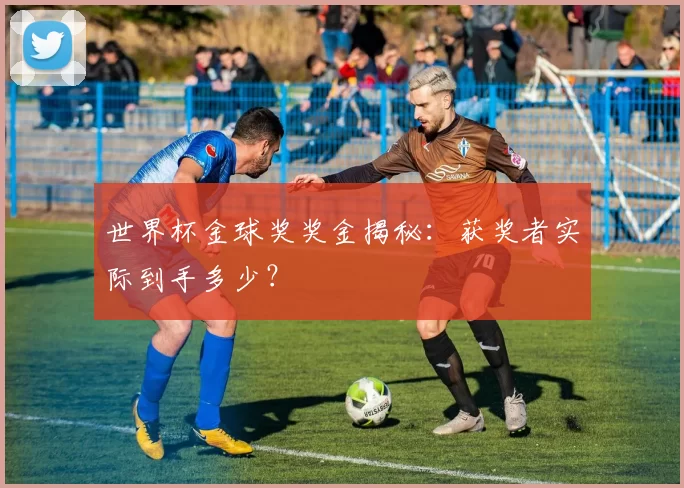 世界杯金球奖奖金揭秘：获奖者实际到手多少？