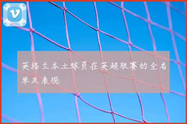 英格兰本土球员在英超联赛的全名单及表现