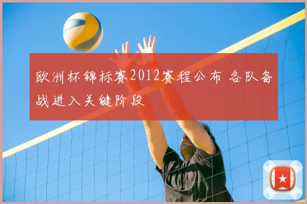 欧洲杯锦标赛2012赛程公布 各队备战进入关键阶段