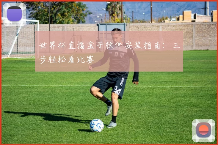 世界杯直播盒子软件安装指南：三步轻松看比赛