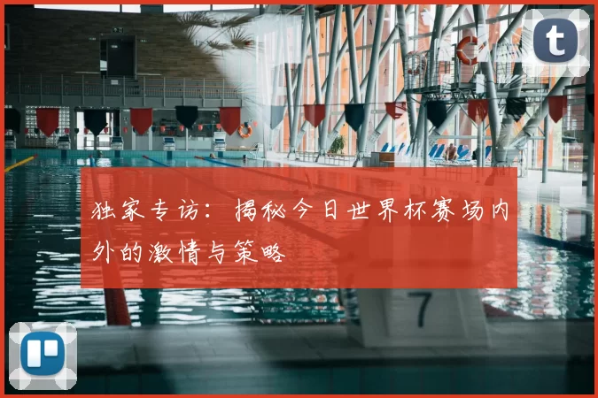 独家专访：揭秘今日世界杯赛场内外的激情与策略