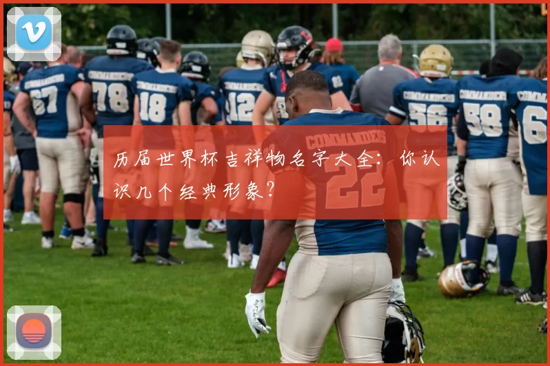 历届世界杯吉祥物名字大全:你认识几个经典形象?