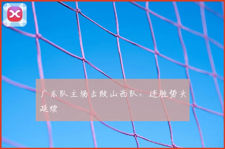 广东队主场击败山西队，连胜势头延续