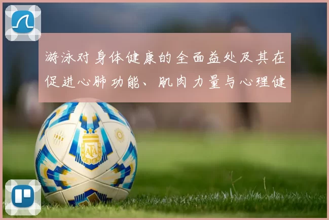 游泳对身体健康的全面益处及其在促进心肺功能、肌肉力量与心理健康中的关键作用