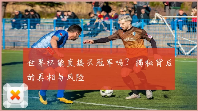 世界杯能直接买冠军吗？揭秘背后的真相与风险