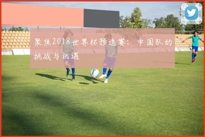 聚焦2018世界杯预选赛：中国队的挑战与机遇