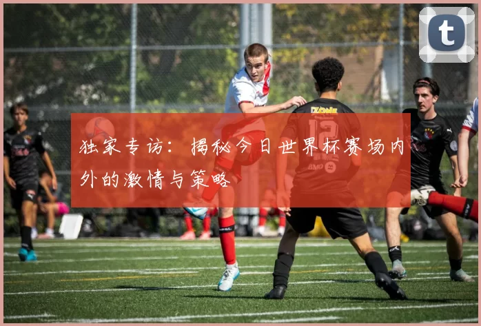 独家专访：揭秘今日世界杯赛场内外的激情与策略