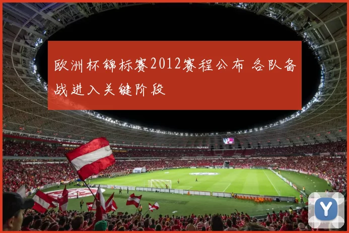 欧洲杯锦标赛2012赛程公布 各队备战进入关键阶段